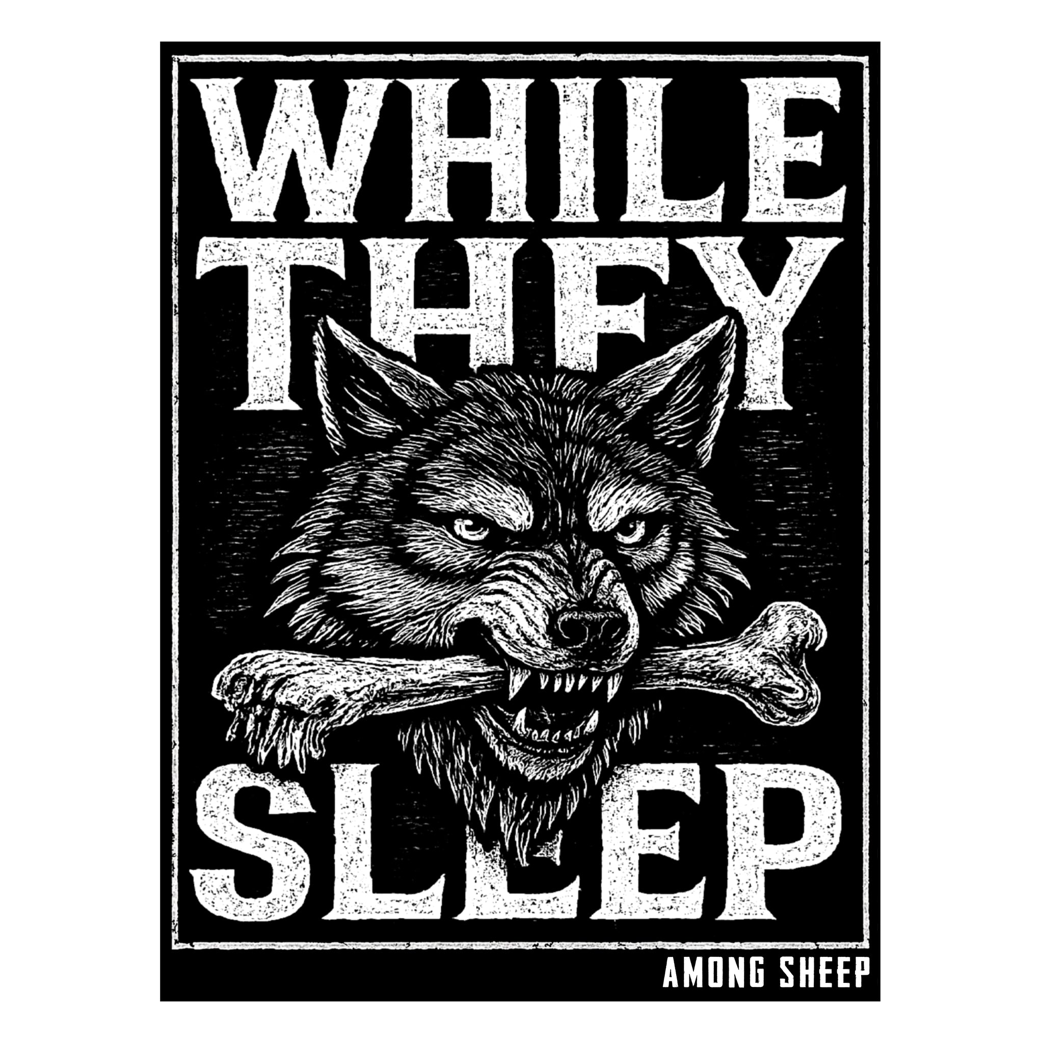 While They Sleep Flag